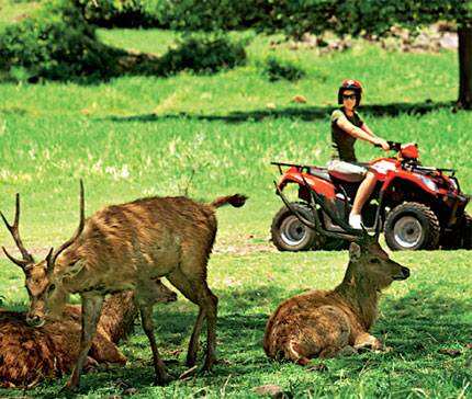 Keep your trip relaxed – with two adventure activities at most, such as quad biking and underwater fun Keep your trip relaxed – with two adventure activities at most, such as quad biking and underwater fun